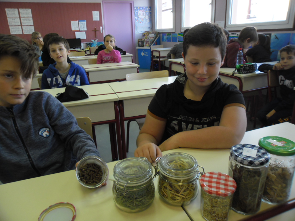 Visuel : Intervention sur l'levage laitier